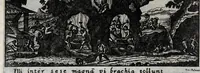 Picture 15 of 19 from Johannis Petri Erici in ejusdem Principio philologico promissa Anthrōpoglōttogonia, sive, Humanae linguae genesis partis primae, tomus primus : ubi de particulis quibusdam, & imprimis de pronominibus tam Graecis, quàm Hebraicis & Latinis : nec non iis, quae his accidunt, agitur : tum diversorum etiam idiomatum glossemata non pauca, quae indagatorem hactenus desiderarunt, evidenti etymologiâ resolvuntur & dilucidantur (1697), leaf 74
