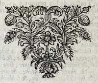 An illustration from Johannis Petri Erici in ejusdem Principio philologico promissa Anthrōpoglōttogonia, sive, Humanae linguae genesis partis primae, tomus primus : ubi de particulis quibusdam, & imprimis de pronominibus tam Graecis, quàm Hebraicis & Latinis : nec non iis, quae his accidunt, agitur : tum diversorum etiam idiomatum glossemata non pauca, quae indagatorem hactenus desiderarunt, evidenti etymologiâ resolvuntur & dilucidantur (1697)