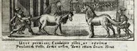 An illustration from Johannis Petri Erici in ejusdem Principio philologico promissa Anthrōpoglōttogonia, sive, Humanae linguae genesis partis primae, tomus primus : ubi de particulis quibusdam, & imprimis de pronominibus tam Graecis, quàm Hebraicis & Latinis : nec non iis, quae his accidunt, agitur : tum diversorum etiam idiomatum glossemata non pauca, quae indagatorem hactenus desiderarunt, evidenti etymologiâ resolvuntur & dilucidantur (1697)
