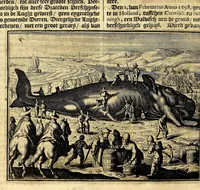 Picture 15 of 32 from Joh[ann] Lodew[ijck] Gottfrieds Historische kronyck; : vervattende een nauwkeurige en volkomene beschrijvingh der aldergedenck waerdigste geschiedenissen des weerelds, van den aenvangh der Scheppingh tot op't jaer Christi 1576. In een nette ordre gebragt na de verdeelingh der vier monarchien, en de bondighste jaer-rekeningh. Op nieuws vertaeld na den derden vermeerderden druck, met byvoegingh van de Historie der Reformatie in Duytschland: en een volkoomen bladwijser aller voornaemste saecken, (1698), leaf 296