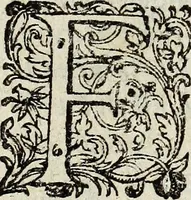 Picture 8 of 63 from Joh. Christophori Wagenseilii De Sacri rom. imperii libera Civitate noribergensi commentatio. Accedit, De Germaniæ, phonascorvm, Von der meister-singer (1697), leaf 14