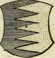 An illustration from Joh. Christophori Wagenseilii De Sacri rom. imperii libera Civitate noribergensi commentatio. Accedit, De Germaniæ, phonascorvm, Von der meister-singer (1697)
