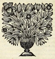 Picture 8 of 18 from Joh. Frederici Gronovii De sestertiis, seu, Subsecivorum pecuniae veteris Graecae & Romanae libri IV .. (1691), leaf 494