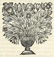 Picture 10 of 18 from Joh. Frederici Gronovii De sestertiis, seu, Subsecivorum pecuniae veteris Graecae & Romanae libri IV .. (1691), leaf 539