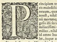 Picture 11 of 18 from Joh. Frederici Gronovii De sestertiis, seu, Subsecivorum pecuniae veteris Graecae & Romanae libri IV .. (1691), leaf 619