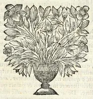 Picture 12 of 18 from Joh. Frederici Gronovii De sestertiis, seu, Subsecivorum pecuniae veteris Graecae & Romanae libri IV .. (1691), leaf 693