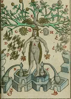 Picture 24 of 42 from Joh. Michaelis Faustij ... Compendium alchymist. novum, sive, Pandora explicata & figuris jllustrata, das ist, Die edelste Gabe Gottes, oder, Ein güldener Schatz : mit welchem die alten und neuen Philosophi, die unvollkommene Metall, durch Gewalt des Feuers verbessert, und allerhand schädliche und unheylsame Kranckheiten innerlich und äusserlich, durch deren Würckung vertrieben haben : dieser Edition wird annoch, nebst vielen Kupffern und über 800 Philosophischen Anmerckungen, ein volkomenes Lexicon alchymisticum novum, und ein vollständiges Register rerum & verborum, beygefüget (1706), leaf 1004