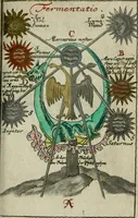 Picture 38 of 42 from Joh. Michaelis Faustij ... Compendium alchymist. novum, sive, Pandora explicata & figuris jllustrata, das ist, Die edelste Gabe Gottes, oder, Ein güldener Schatz : mit welchem die alten und neuen Philosophi, die unvollkommene Metall, durch Gewalt des Feuers verbessert, und allerhand schädliche und unheylsame Kranckheiten innerlich und äusserlich, durch deren Würckung vertrieben haben : dieser Edition wird annoch, nebst vielen Kupffern und über 800 Philosophischen Anmerckungen, ein volkomenes Lexicon alchymisticum novum, und ein vollständiges Register rerum & verborum, beygefüget (1706), leaf 1078