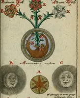 Picture 39 of 42 from Joh. Michaelis Faustij ... Compendium alchymist. novum, sive, Pandora explicata & figuris jllustrata, das ist, Die edelste Gabe Gottes, oder, Ein güldener Schatz : mit welchem die alten und neuen Philosophi, die unvollkommene Metall, durch Gewalt des Feuers verbessert, und allerhand schädliche und unheylsame Kranckheiten innerlich und äusserlich, durch deren Würckung vertrieben haben : dieser Edition wird annoch, nebst vielen Kupffern und über 800 Philosophischen Anmerckungen, ein volkomenes Lexicon alchymisticum novum, und ein vollständiges Register rerum & verborum, beygefüget (1706), leaf 1082