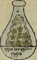 Picture 18 of 42 from Joh. Michaelis Faustij ... Compendium alchymist. novum, sive, Pandora explicata & figuris jllustrata, das ist, Die edelste Gabe Gottes, oder, Ein güldener Schatz : mit welchem die alten und neuen Philosophi, die unvollkommene Metall, durch Gewalt des Feuers verbessert, und allerhand schädliche und unheylsame Kranckheiten innerlich und äusserlich, durch deren Würckung vertrieben haben : dieser Edition wird annoch, nebst vielen Kupffern und über 800 Philosophischen Anmerckungen, ein volkomenes Lexicon alchymisticum novum, und ein vollständiges Register rerum & verborum, beygefüget (1706), leaf 366