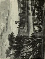 An illustration from John Cassell's Art treasures exhibition: containing engravings of the principal masterpieces of the English, Dutch, Flemish, French, and German schools (1858)