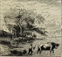 An illustration from John Cassell's Art treasures exhibition: containing engravings of the principal masterpieces of the English, Dutch, Flemish, French, and German schools (1858)