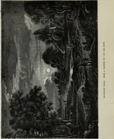 Picture 200 of 315 from John Cassell's Art treasures exhibition: containing engravings of the principal masterpieces of the English, Dutch, Flemish, French, and German schools (1858), leaf 345