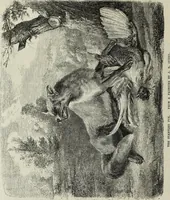 An illustration from John Cassell's Art treasures exhibition: containing engravings of the principal masterpieces of the English, Dutch, Flemish, French, and German schools (1858)