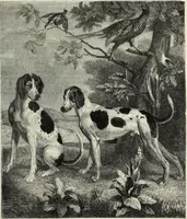 An illustration from John Cassell's Art treasures exhibition: containing engravings of the principal masterpieces of the English, Dutch, Flemish, French, and German schools (1858)