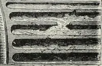An illustration from John Cassell's Art treasures exhibition: containing engravings of the principal masterpieces of the English, Dutch, Flemish, French, and German schools (1858)