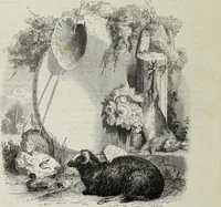 Picture 315 of 315 from John Cassell's Art treasures exhibition: containing engravings of the principal masterpieces of the English, Dutch, Flemish, French, and German schools (1858), leaf 525