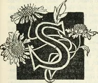 An illustration from John Constable d'après les souvenirs (1905)