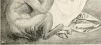An illustration from John Ruskin; a sketch of his life, his work, and his opinions, with personal reminiscences (1900)