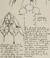An illustration from John Ruskin ; a sketch of his life, his work, and his opinions, with personal reminiscences (1900)
