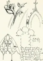 Picture 9 of 22 from John Ruskin ; a sketch of his life, his work, and his opinions (1900), leaf 75