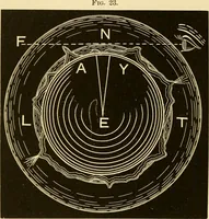 An illustration from Johnson's natural philosophy and key to philosophical charts : illustrated with 500 cuts; being reduced photographic copies of all the diagrams contained in the author's philosophical series of indestructible school charts ; for the use of schools and families (1878)