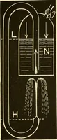 An illustration from Johnson's natural philosophy and key to philosophical charts : illustrated with 500 cuts; being reduced photographic copies of all the diagrams contained in the author's philosophical series of indestructible school charts ; for the use of schools and families (1878)