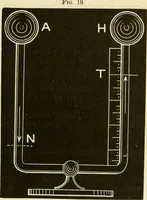 An illustration from Johnson's natural philosophy and key to philosophical charts : illustrated with 500 cuts; being reduced photographic copies of all the diagrams contained in the author's philosophical series of indestructible school charts ; for the use of schools and families (1878)