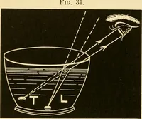 An illustration from Johnson's natural philosophy and key to philosophical charts : illustrated with 500 cuts; being reduced photographic copies of all the diagrams contained in the author's philosophical series of indestructible school charts ; for the use of schools and families (1878)