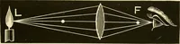 An illustration from Johnson's natural philosophy and key to philosophical charts : illustrated with 500 cuts; being reduced photographic copies of all the diagrams contained in the author's philosophical series of indestructible school charts ; for the use of schools and families (1878)