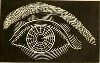 An illustration from Johnson's natural philosophy and key to philosophical charts : illustrated with 500 cuts; being reduced photographic copies of all the diagrams contained in the author's philosophical series of indestructible school charts ; for the use of schools and families (1878)