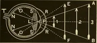 An illustration from Johnson's natural philosophy and key to philosophical charts : illustrated with 500 cuts; being reduced photographic copies of all the diagrams contained in the author's philosophical series of indestructible school charts ; for the use of schools and families (1878)