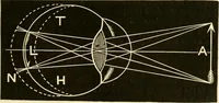 An illustration from Johnson's natural philosophy and key to philosophical charts : illustrated with 500 cuts; being reduced photographic copies of all the diagrams contained in the author's philosophical series of indestructible school charts ; for the use of schools and families (1878)