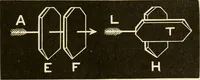 An illustration from Johnson's natural philosophy and key to philosophical charts : illustrated with 500 cuts; being reduced photographic copies of all the diagrams contained in the author's philosophical series of indestructible school charts ; for the use of schools and families (1878)