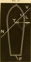 An illustration from Johnson's natural philosophy and key to philosophical charts : illustrated with 500 cuts; being reduced photographic copies of all the diagrams contained in the author's philosophical series of indestructible school charts ; for the use of schools and families (1878)