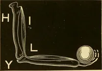 An illustration from Johnson's natural philosophy and key to philosophical charts : illustrated with 500 cuts; being reduced photographic copies of all the diagrams contained in the author's philosophical series of indestructible school charts ; for the use of schools and families (1878)