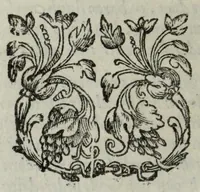 An illustration from Joh. van Beverwyck Schat der ongesontheyt, ofte, Genees-konste van de sieckten : vercʹiert met historyen, ende kopere platen (1642)