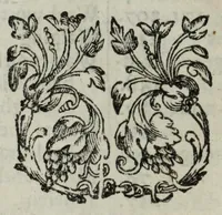 An illustration from Joh. van Beverwyck Schat der ongesontheyt, ofte, Genees-konste van de sieckten : vercʹiert met historyen, ende kopere platen (1642)