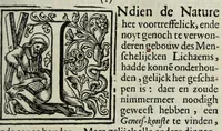 An illustration from Joh. van Beverwyck Schat der ongesontheyt, ofte, Genees-konste van de sieckten : vercʹiert met historyen, ende kopere platen (1642)