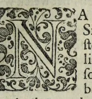An illustration from Joh. van Beverwyck Schat der ongesontheyt, ofte, Genees-konste van de sieckten : vercʹiert met historyen, ende kopere platen (1642)
