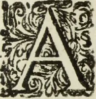 An illustration from Jo. Jac. Chiffletii De linteis sepulchralibus Christi Servatoris crisis historica (1688)