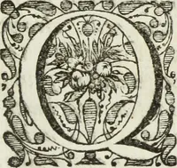 An illustration from Jo. Jac. Chiffletii De linteis sepulchralibus Christi Servatoris crisis historica (1688)