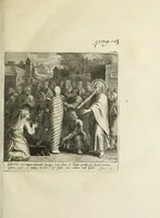 Picture 8 of 18 from Jo. Jac. Chiffletii De linteis sepulchralibus Christi Servatoris crisis historica (1688), leaf 44