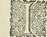 Picture 2 of 18 from Jo. Jac. Chiffletii De linteis sepulchralibus Christi Servatoris crisis historica (1688), leaf 8