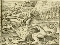 An illustration from Jo. Jacobi Mangeti, medicinae doctoris et sereniss. ac potentiss. regis Prussiae archiatri, Bibliotheca chemica curiosa, seu, Rerum ad alchemiam pertinetium thesaurus instructissimus : quo non tantùm artis auriferae, ac scriptorum in ea nobiliorum historia traditur : lapidis veritas argumentis & experimentis innumeris, immò & juris consultorum judiciis evincitur : termini obscuriores explicantur : cautiones contra impostores & difficultates in tinctura universali conficienda occurrentes, declarantur : verùm etiam tractatus omnes virorum celebriorum, qui in magno sudarunt elixyre, quíque ab ipso Hermete, ut dicitur, Trismegisto, ad nostra usque tempora de chrysopoea scripserunt, cum praecipuis suis commentariis, concinno ordine dispositi exhibentur. Ad quorum omnium illustrationem additae sunt quamplurimae figurae aeneae (1702)