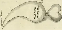 Picture 65 of 75 from Jo. Jacobi Mangeti, medicinae doctoris et sereniss. ac potentiss. regis Prussiae archiatri, Bibliotheca chemica curiosa, seu, Rerum ad alchemiam pertinetium thesaurus instructissimus : quo non tantùm artis auriferae, ac scriptorum in ea nobiliorum historia traditur : lapidis veritas argumentis & experimentis innumeris, immò & juris consultorum judiciis evincitur : termini obscuriores explicantur : cautiones contra impostores & difficultates in tinctura universali conficienda occurrentes, declarantur : verùm etiam tractatus omnes virorum celebriorum, qui in magno sudarunt elixyre, quíque ab ipso Hermete, ut dicitur, Trismegisto, ad nostra usque tempora de chrysopoea scripserunt, cum praecipuis suis commentariis, concinno ordine dispositi exhibentur. Ad quorum omnium illustrationem additae sunt quamplurimae figurae aeneae (1702), leaf 1522