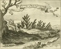 An illustration from Jo. Jacobi Mangeti, medicinae doctoris et sereniss. ac potentiss. regis Prussiae archiatri, Bibliotheca chemica curiosa, seu, Rerum ad alchemiam pertinetium thesaurus instructissimus : quo non tantùm artis auriferae, ac scriptorum in ea nobiliorum historia traditur : lapidis veritas argumentis & experimentis innumeris, immò & juris consultorum judiciis evincitur : termini obscuriores explicantur : cautiones contra impostores & difficultates in tinctura universali conficienda occurrentes, declarantur : verùm etiam tractatus omnes virorum celebriorum, qui in magno sudarunt elixyre, quíque ab ipso Hermete, ut dicitur, Trismegisto, ad nostra usque tempora de chrysopoea scripserunt, cum praecipuis suis commentariis, concinno ordine dispositi exhibentur. Ad quorum omnium illustrationem additae sunt quamplurimae figurae aeneae (1702)