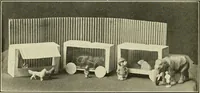 An illustration from The jolly book of boxcraft (1914)