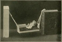 Picture 45 of 77 from The jolly book of boxcraft (1914), leaf 188