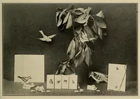 Picture 4 of 14 from The jolly book of funcraft (1918), leaf 109